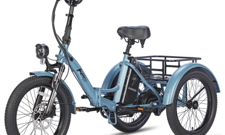 5 ok, amiért érdemes megvenni a FAFREES F20 MATE elektromos háromkerekűt