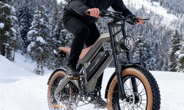 ZONVEER M20 elektromos kerékpár 1000W motorral és 18.2Ah akkuval, EU raktárról