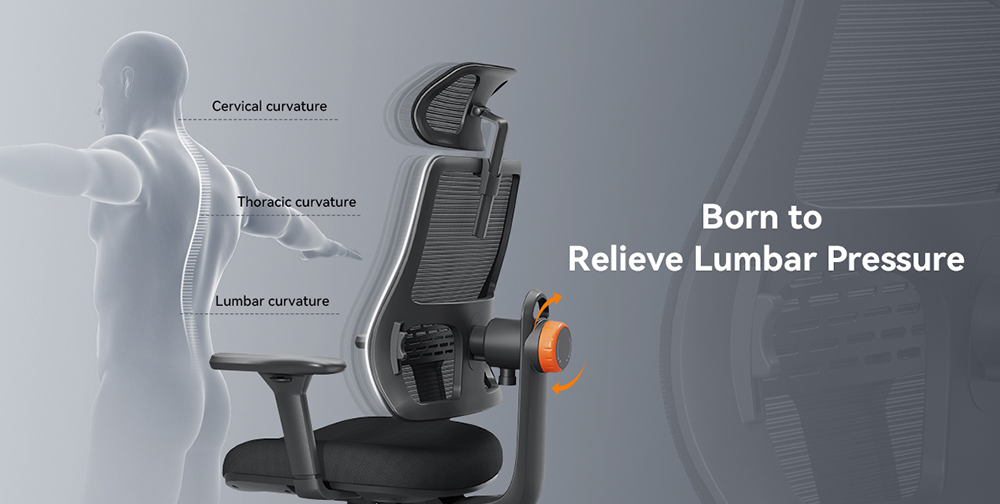 A NEWTRAL MAGICH003 ergonomikus szék 5 előnye a gerinc egészségéért